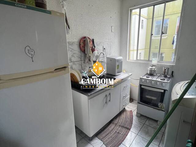 Apartamento para Venda em Sapucaia do Sul - 5